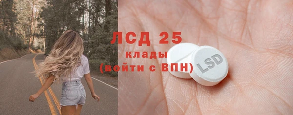 молекула духа Богородицк