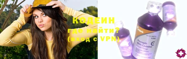 индика Балахна