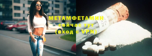 молекула духа Богородицк