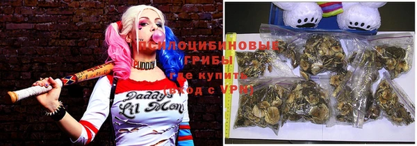 индика Балахна