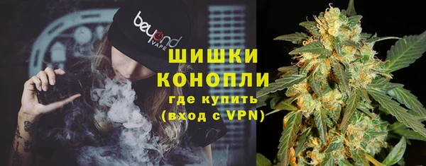 молекула духа Богородицк