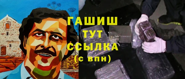 молекула духа Богородицк