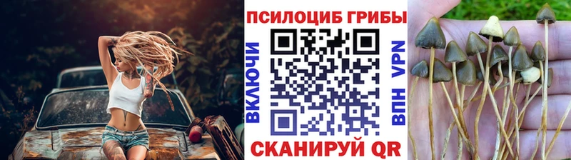 Галлюциногенные грибы GOLDEN TEACHER  купить наркоту  блэк спрут ссылка  Белая Холуница 